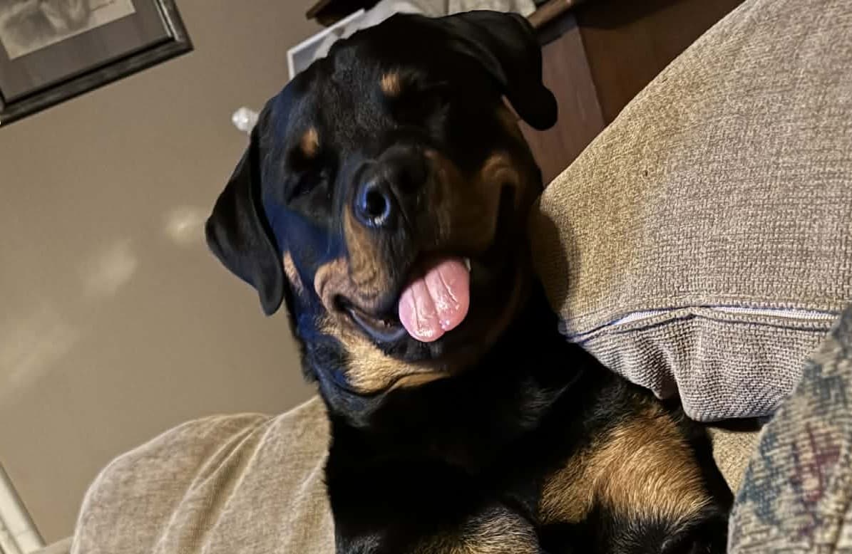 Bild på Liv & Vinga