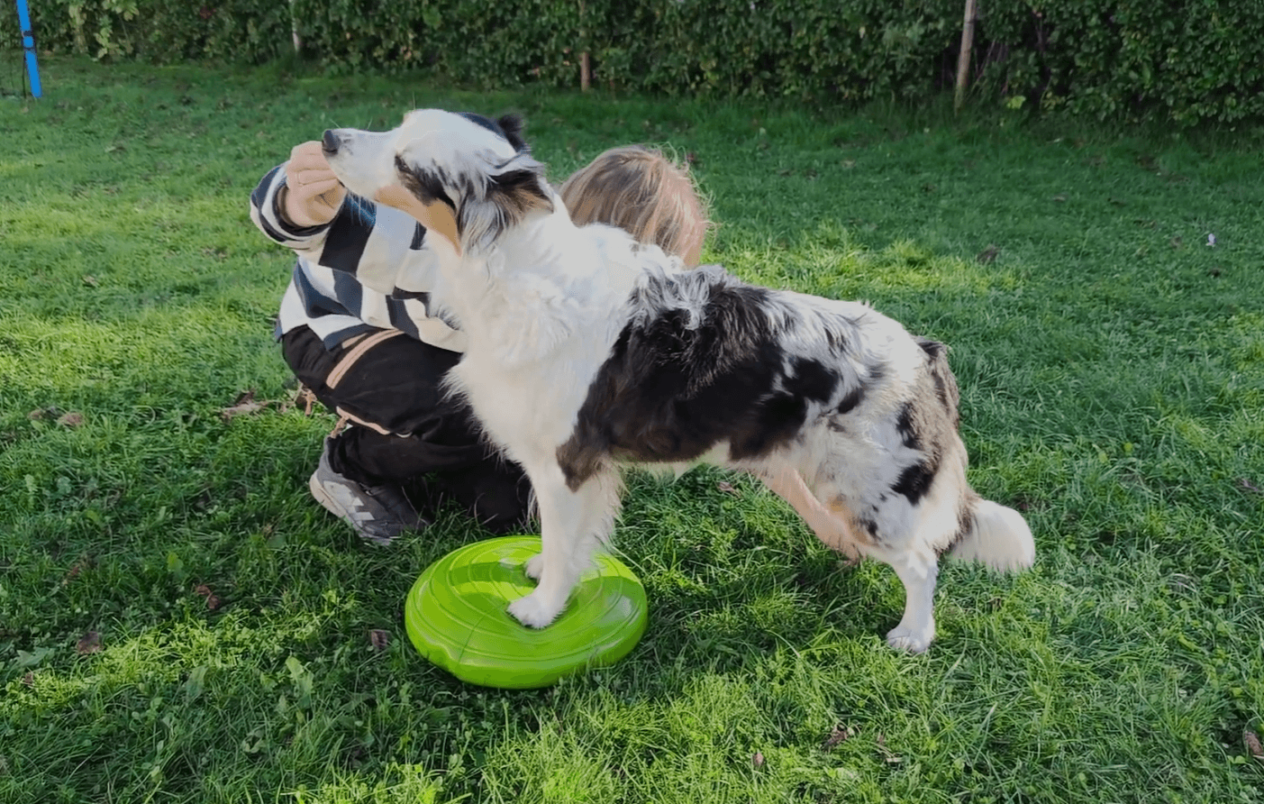 Friskvård uppföljningsträff