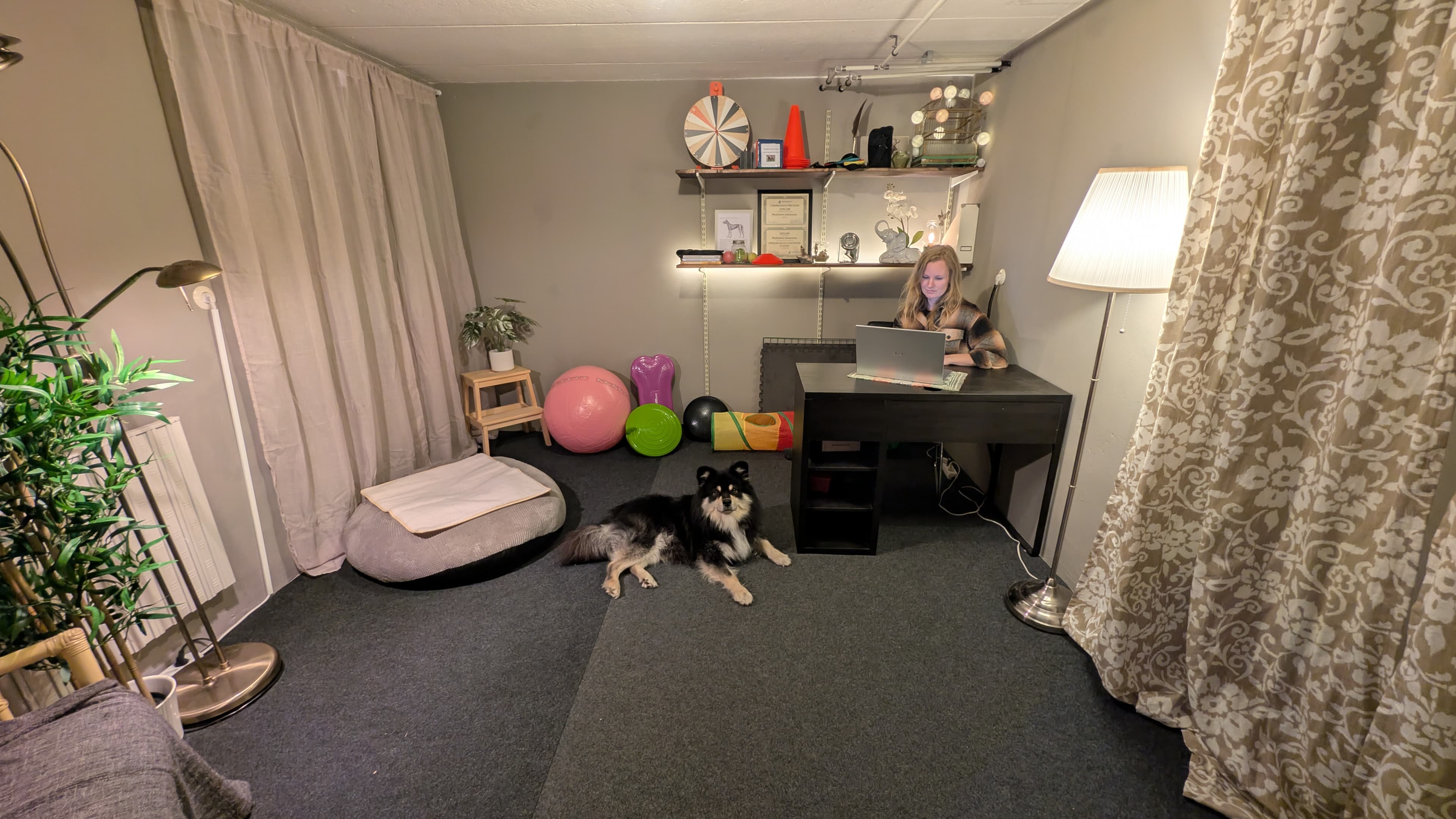 Therapy Background